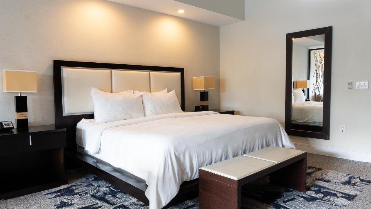 Modern Private Studio - King Bed, Jacuzzi, Balcony And Pool Aparthotel Miami Exteriör bild